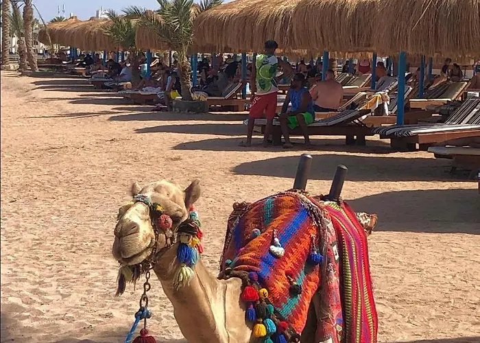 Tiba Golden 158 Zahabia Hurghada